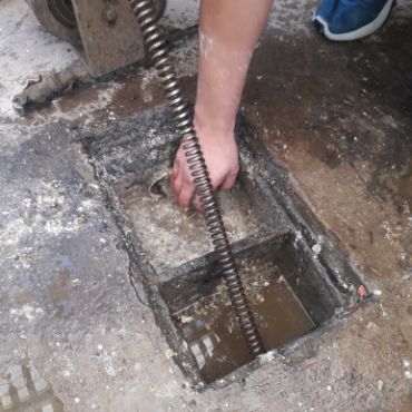 Destapacion de tapa cloacal